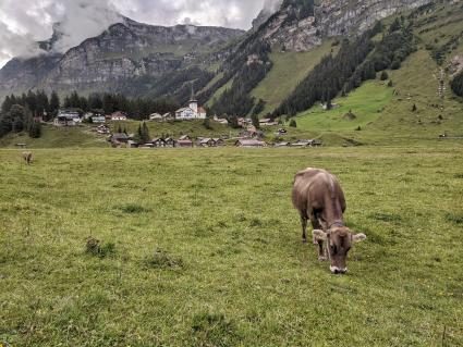Urnerboden