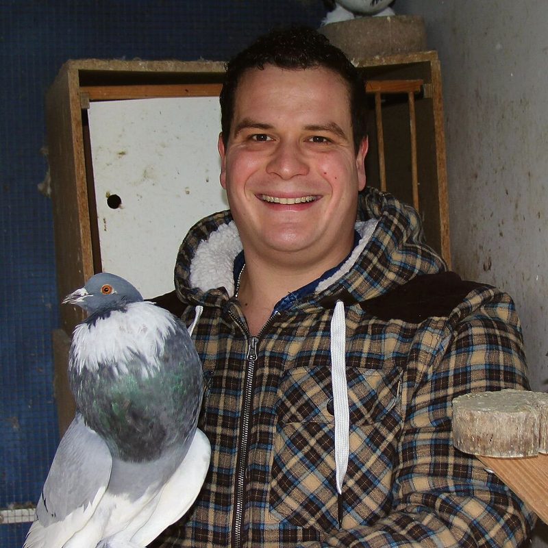 Dominic Erismann aus Uerkheim und seine Pommerschen Kröpfer-Tauben.