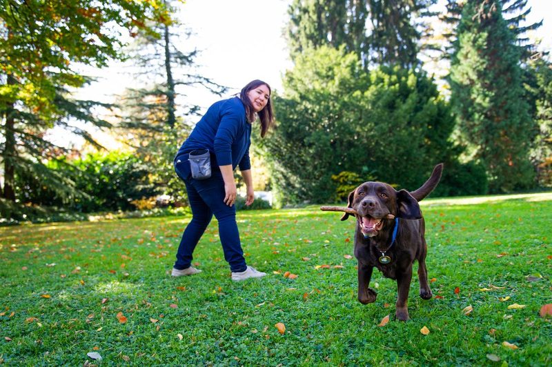 Vom Welpen zum Hund