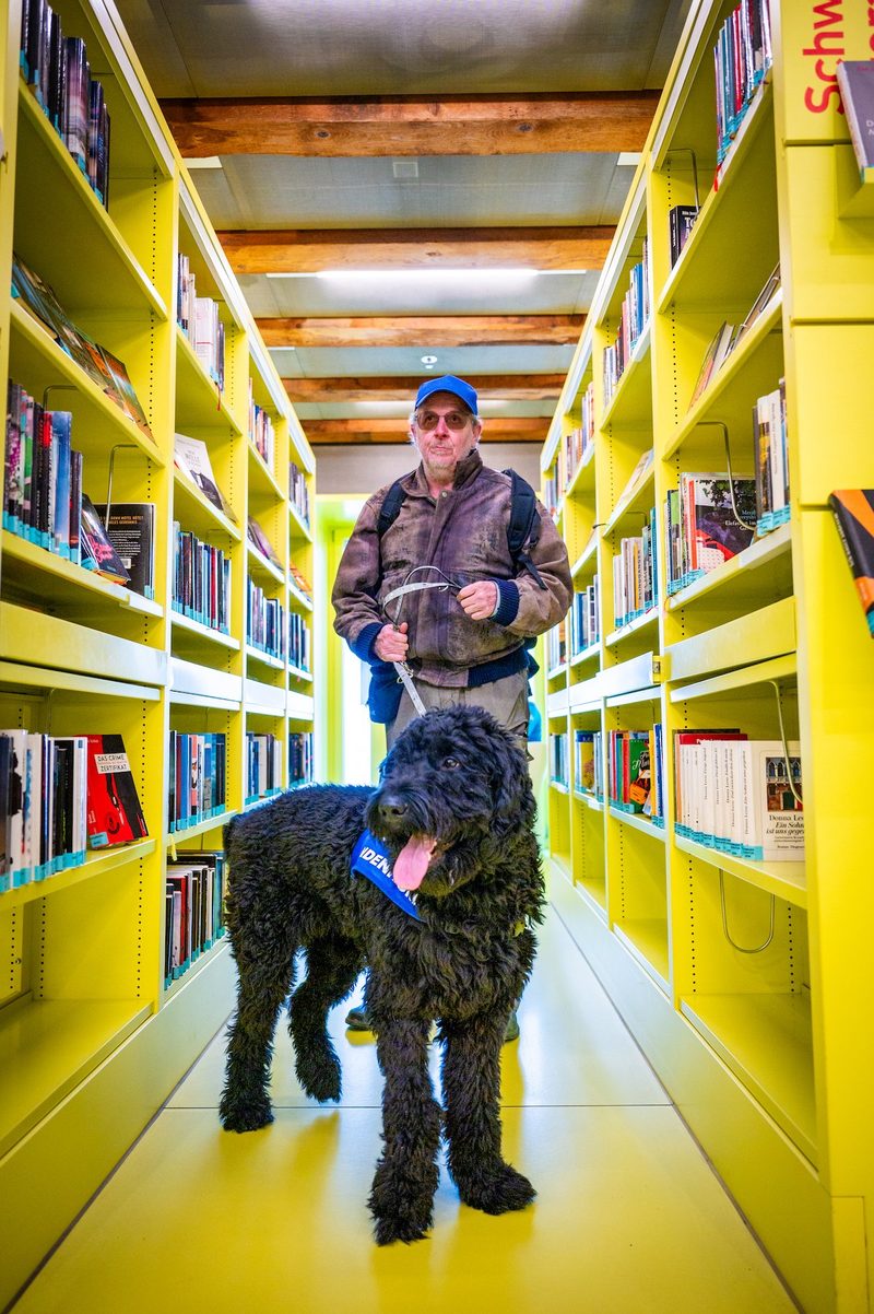 Vom Welpen zum Hund