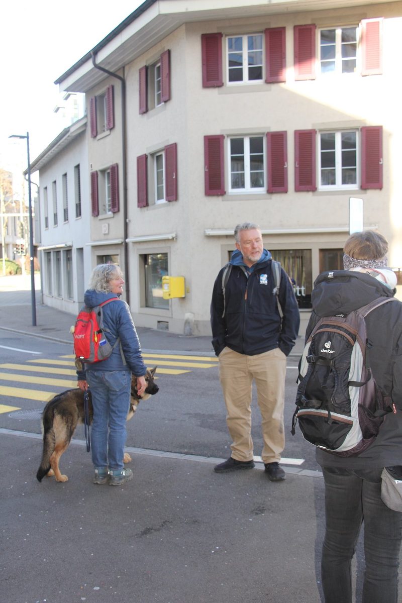 Vom Welpen zum Hund