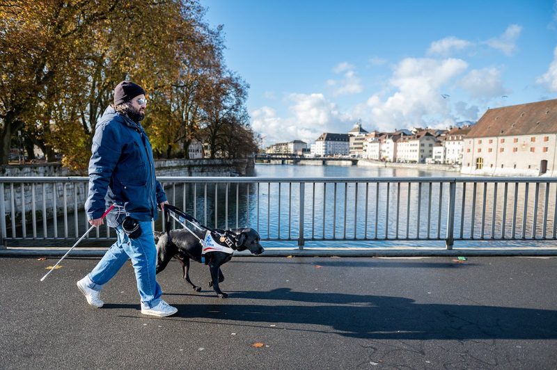 Vom Welpen zum Hund