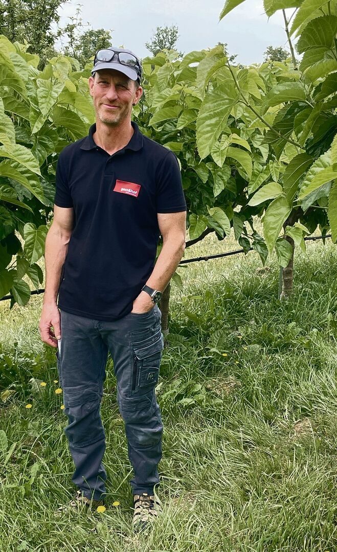 Reto Streit hat auf seinem Land 360 Maulbeerbäume, denn die wählerischen Seidenraupen fressen ausschliesslich deren Blätter.