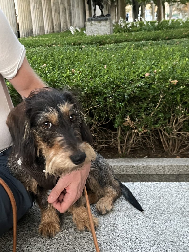 Frieda auf Deutschlandreise