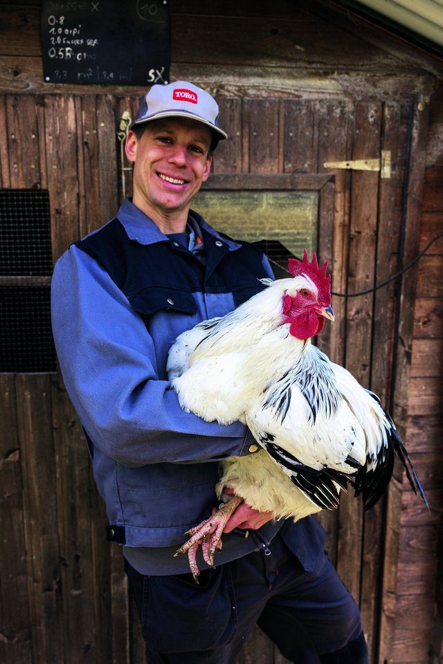 Alexander Morf mit einem Sussex-Hahn. Tiere dieser englischen Rasse erreichen ein besonders hohes Gewicht.
