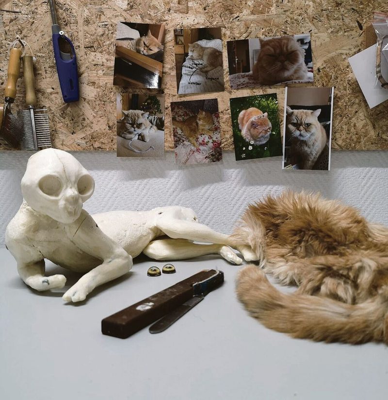 Die Taxidermie erfordert viel Zeit und ein gutes visuelles Vorstellungsvermögen.