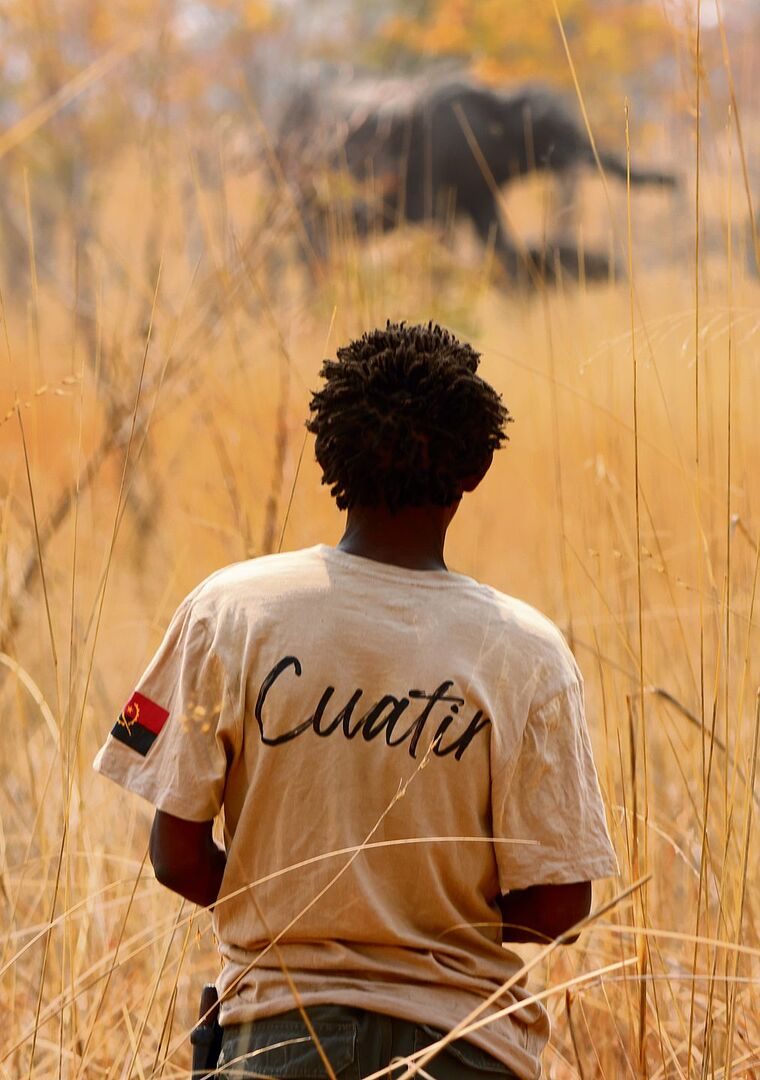 Medada beobachtet Elefanten – ein Moment, der Hoffnung schenkt, da diese Tiere in Angola durch Wilderer und Minen fast verschwunden waren.